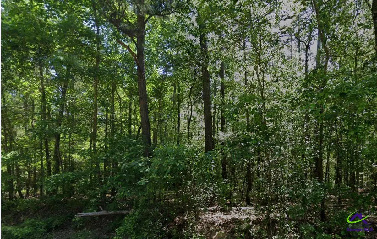 0 Howard Road, Roberta, GA 31078 - Image #1