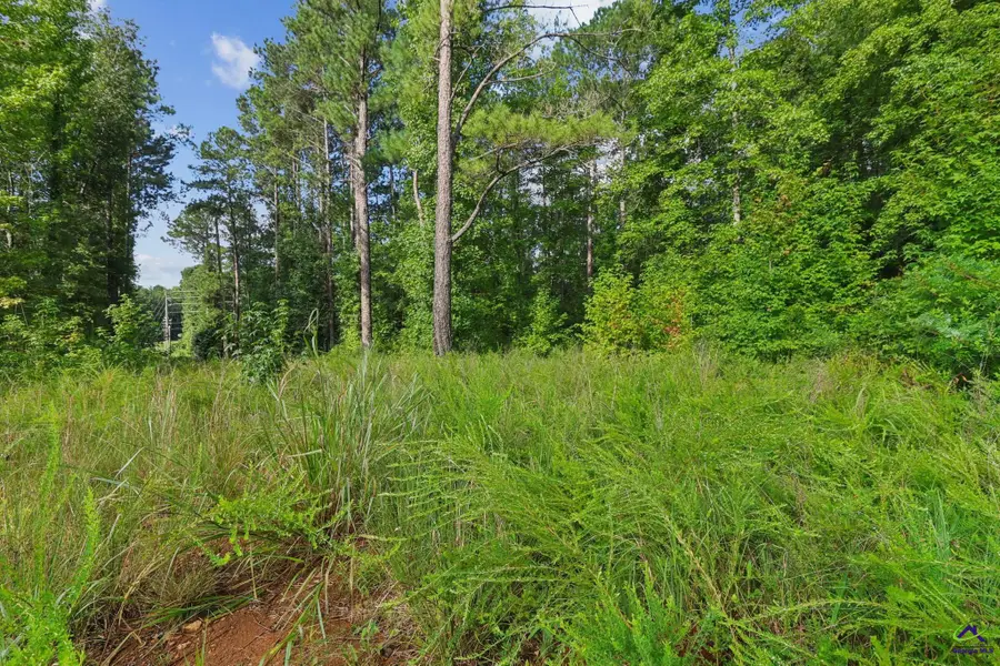 GA- 87 Highway, Macon, GA 31046 - Image #2