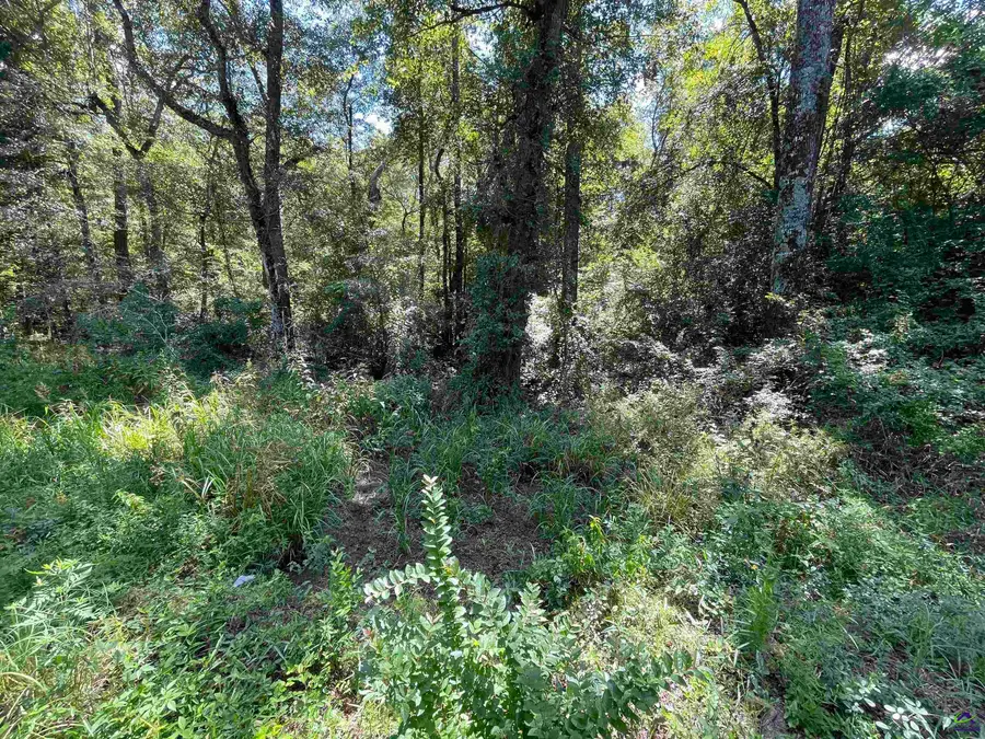 Lots Crest Drive, Cochran, GA 31014 - Image #2