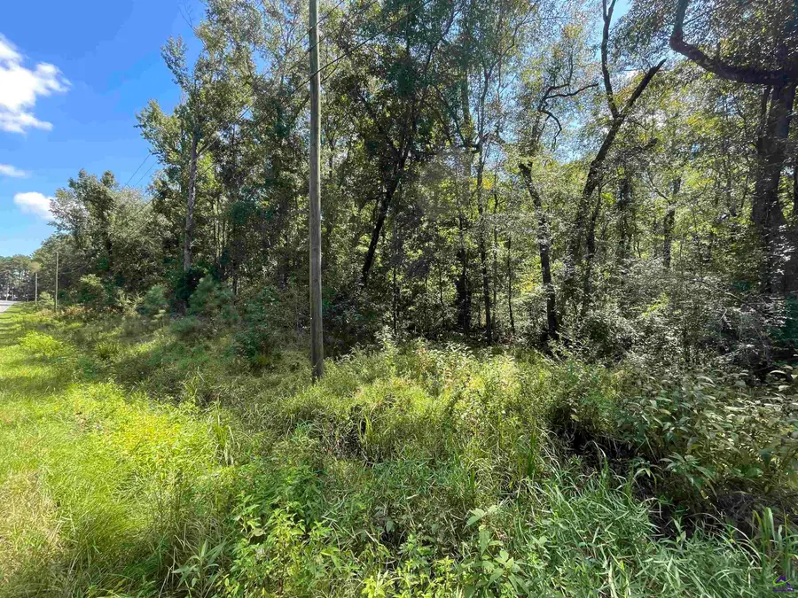 Lots Crest Drive, Cochran, GA 31014 - Image #3