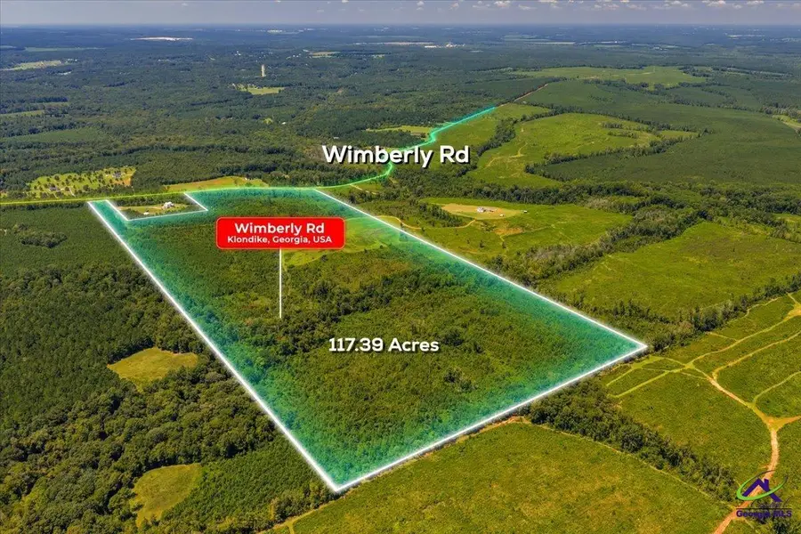 1075 WIMBERLY Road, Hawkinsville, GA 31036 - Image #3