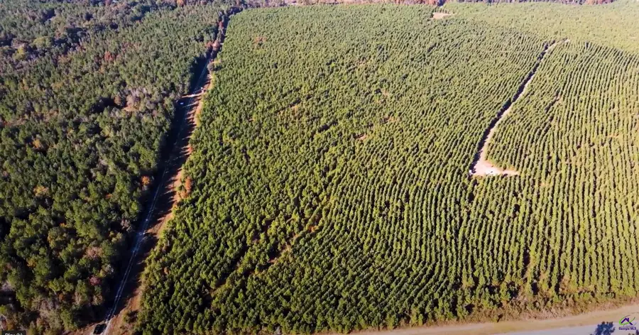 Lot 1 Whitfield Road, Elko, GA 31025 - Image #2