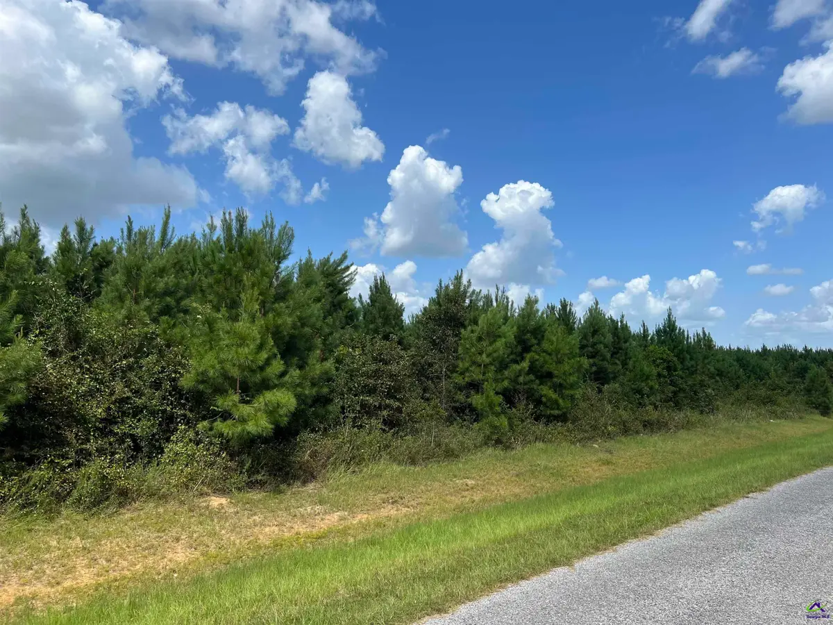 Lot 5 Whitfield Road, Elko, GA 31025 - #1
