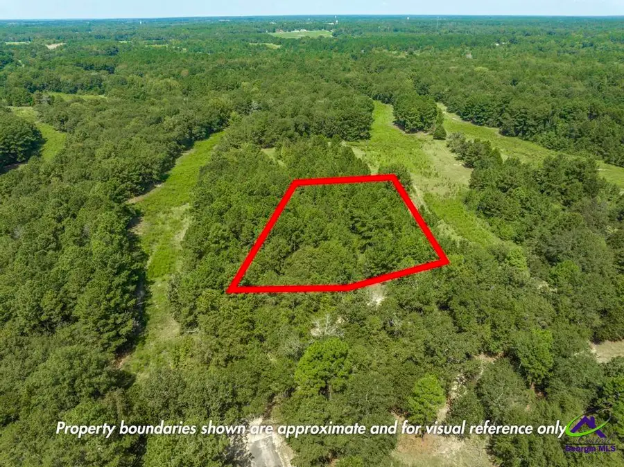 0 Mac Thompson Road, Cochran, GA 31014 - Image #2