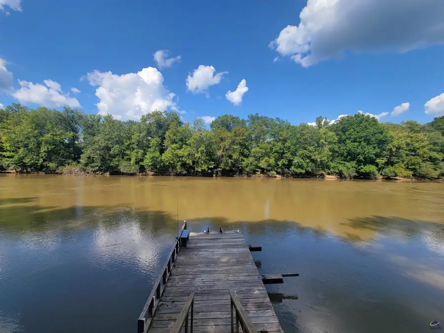 319 Riverside Drive, Hawkinsville, GA 31036 - #3