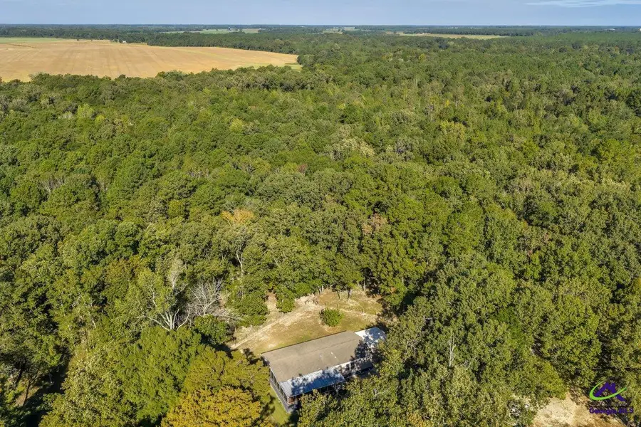 81 Peach Blossom Road, Pineview, GA 31071 - #3