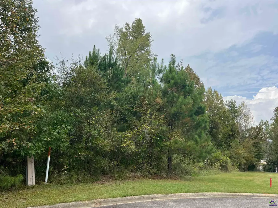 2420 Grand Habor Court, Lizella, GA 31052 - Image #2