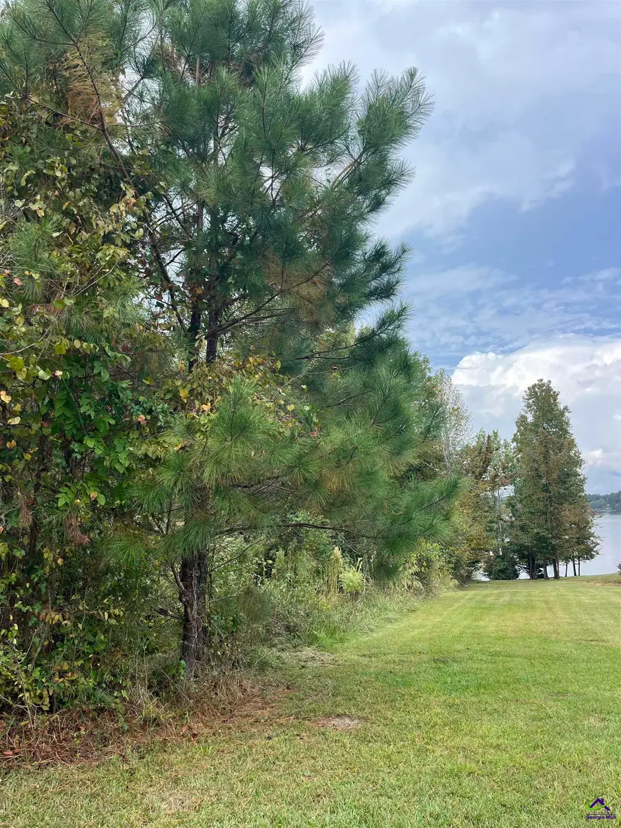 2420 Grand Habor Court, Lizella, GA 31052 - Image #3