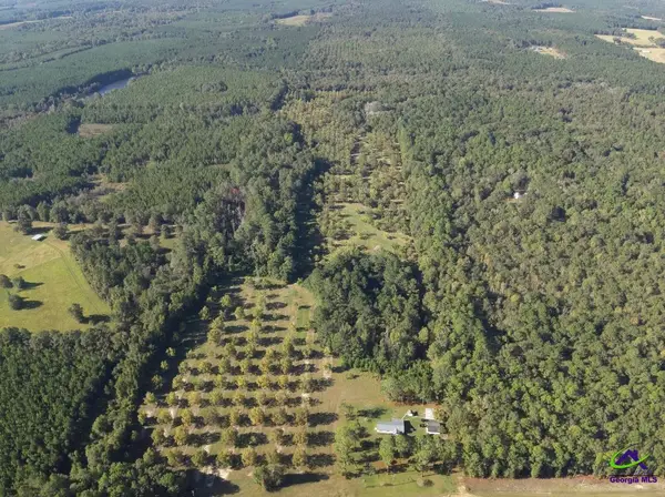 359 RALEIGH COBB Road, Hawkinsville, GA 31036