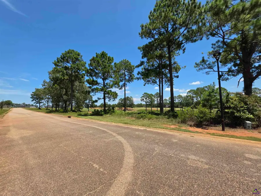 Lot 10, 11 Camden Way, Hawkinsville, GA 31036 - Image #2
