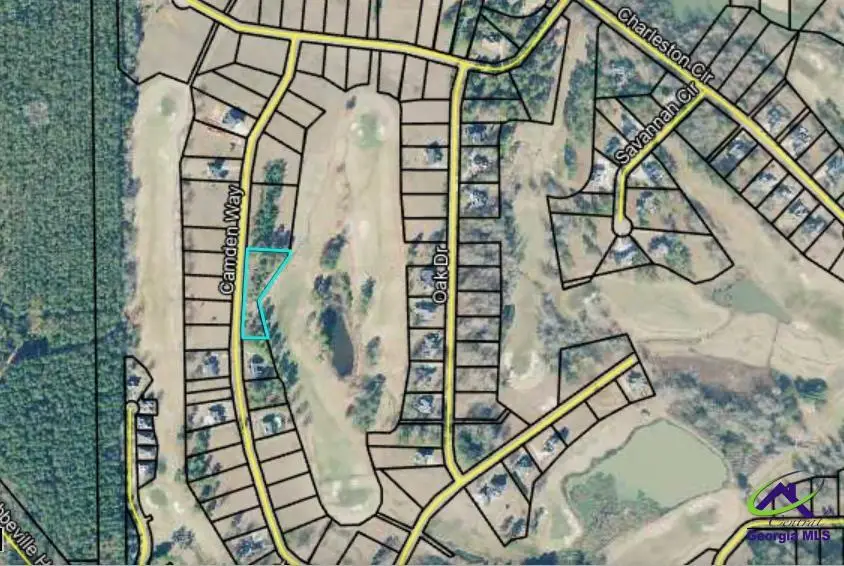 Lot 10, 11 Camden Way, Hawkinsville, GA 31036 - Image #3