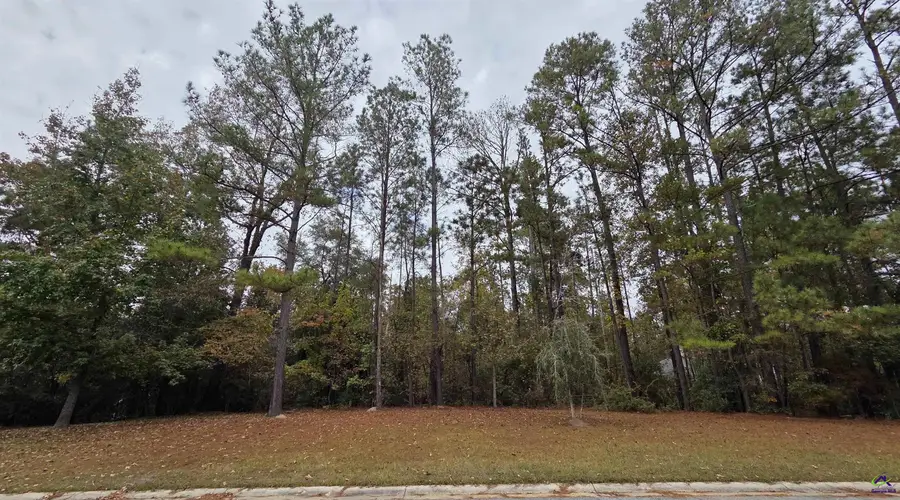 215 Falcon Crest, Warner Robins, GA 31088 - #3
