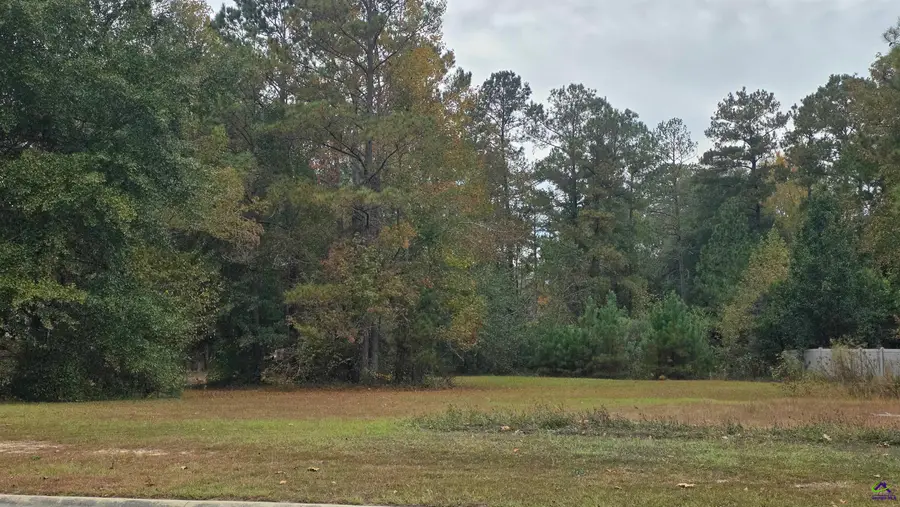 256 FALCON CREST, Warner Robins, GA 31088 - #3