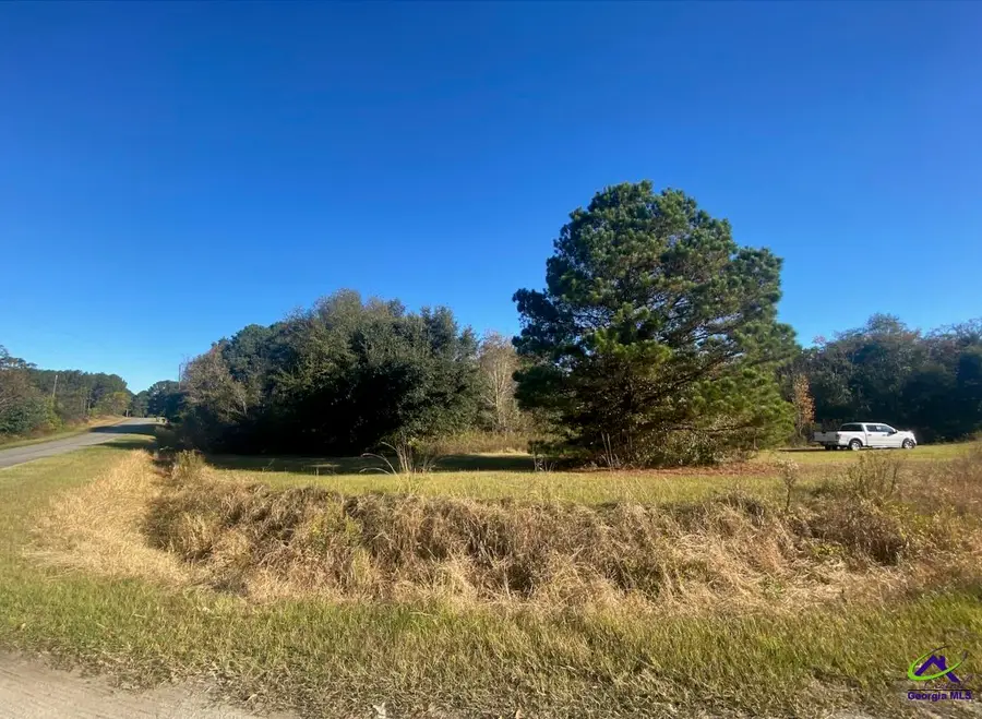 0 Jeanette Street, Unadilla, GA 31091 - #3