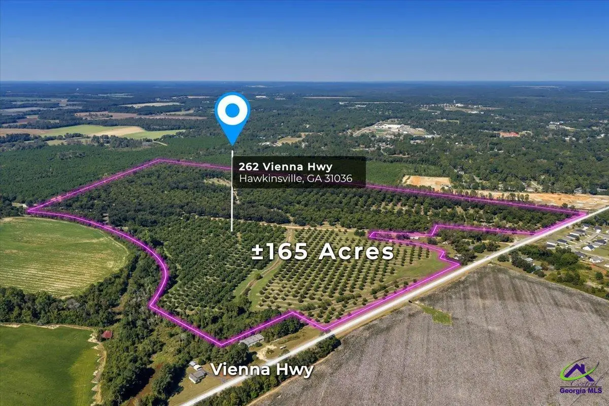 262 Vienna Highway, Hawkinsville, GA 31036 - Image #1