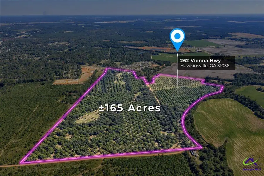 262 Vienna Highway, Hawkinsville, GA 31036 - Image #2