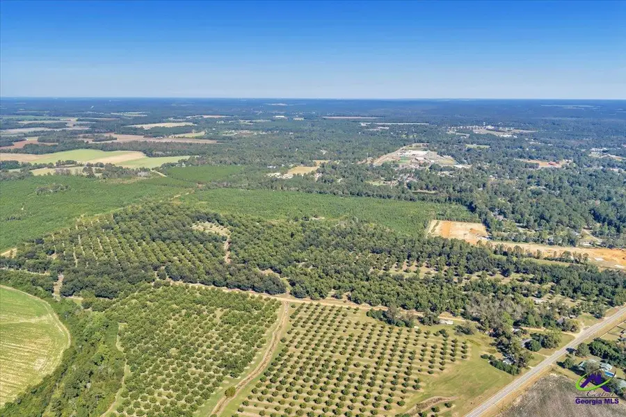 262 Vienna Highway, Hawkinsville, GA 31036 - Image #3