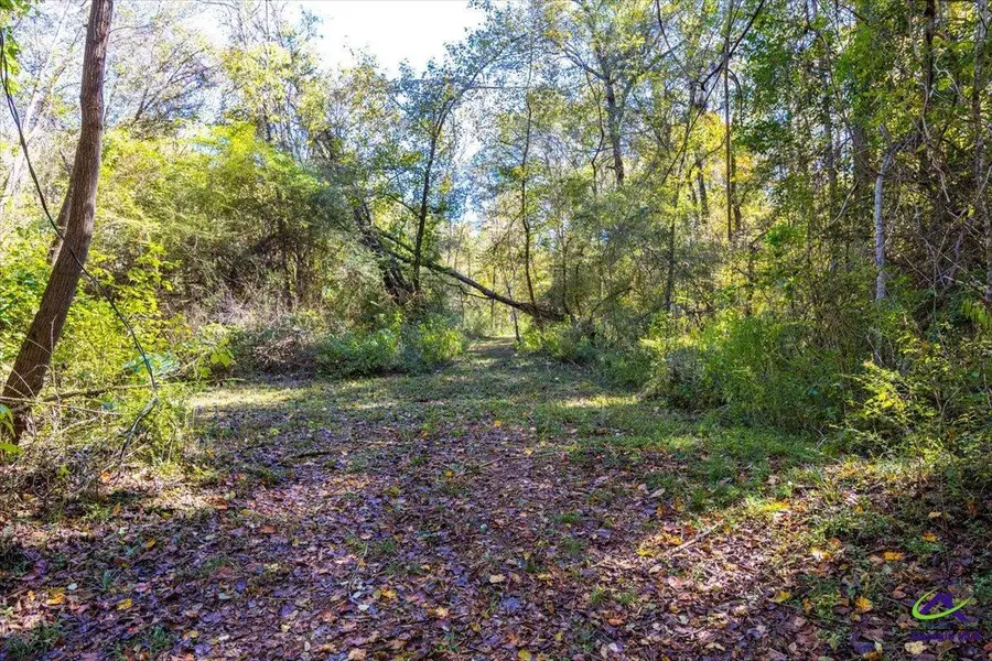 3271 GA highway 42 N, Forsyth, GA 31029 - Image #3