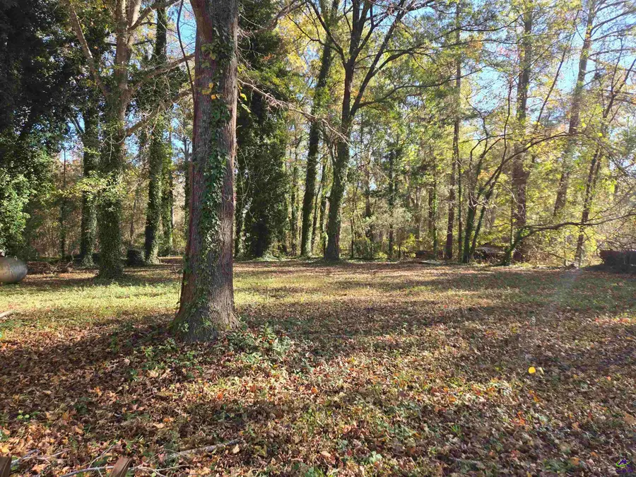 131 & 133 S Blackberry Circle, Kathleen, GA 31047 - Image #2