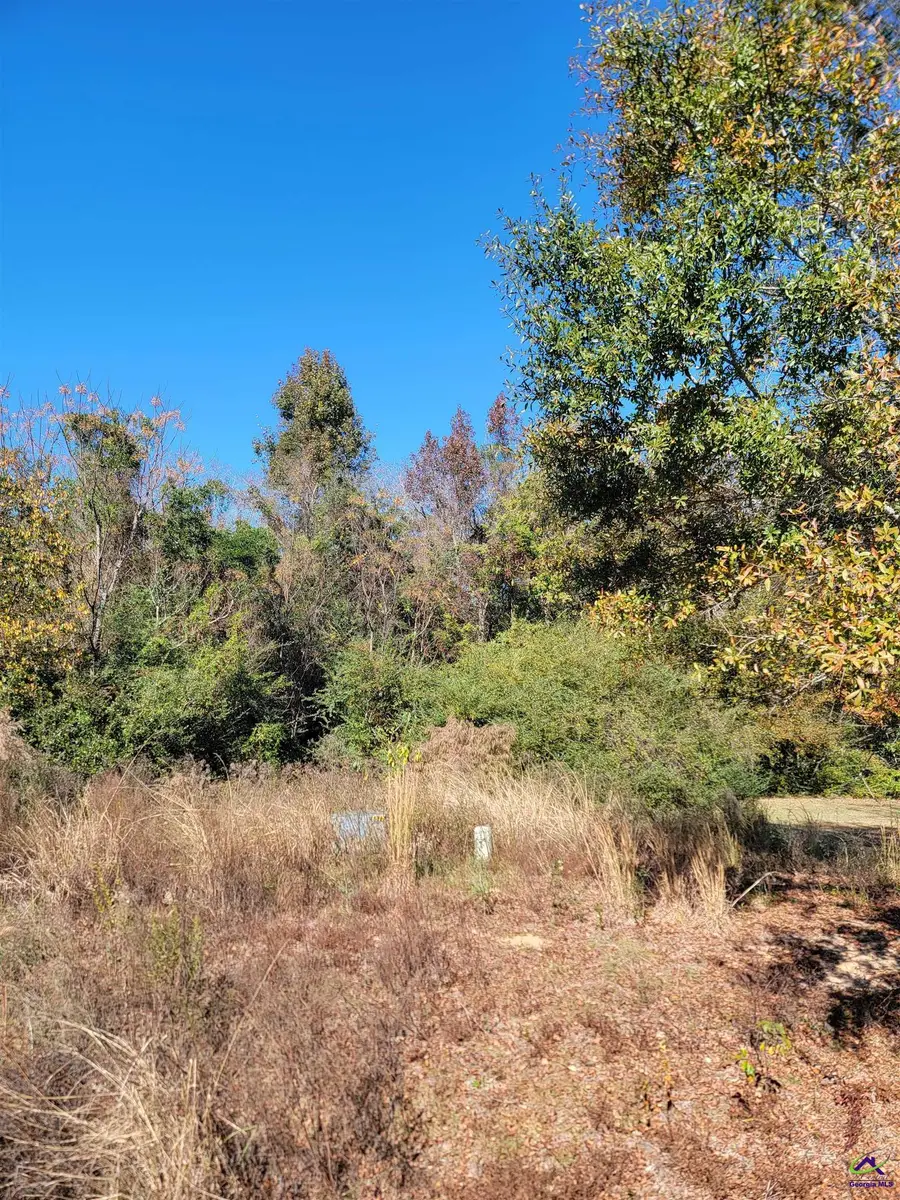 68 Aberdeen Circle, Cordele, GA 31015 - Image #3