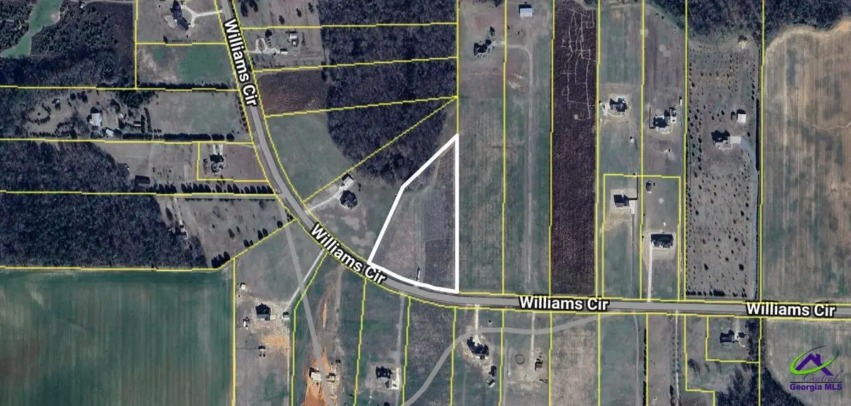 Tract 3 Williams Circle, Elko, GA 31025 - Image #1