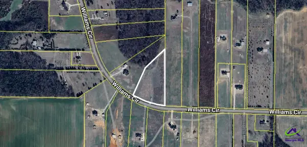 Tract 3 Williams Circle, Elko, GA 31025