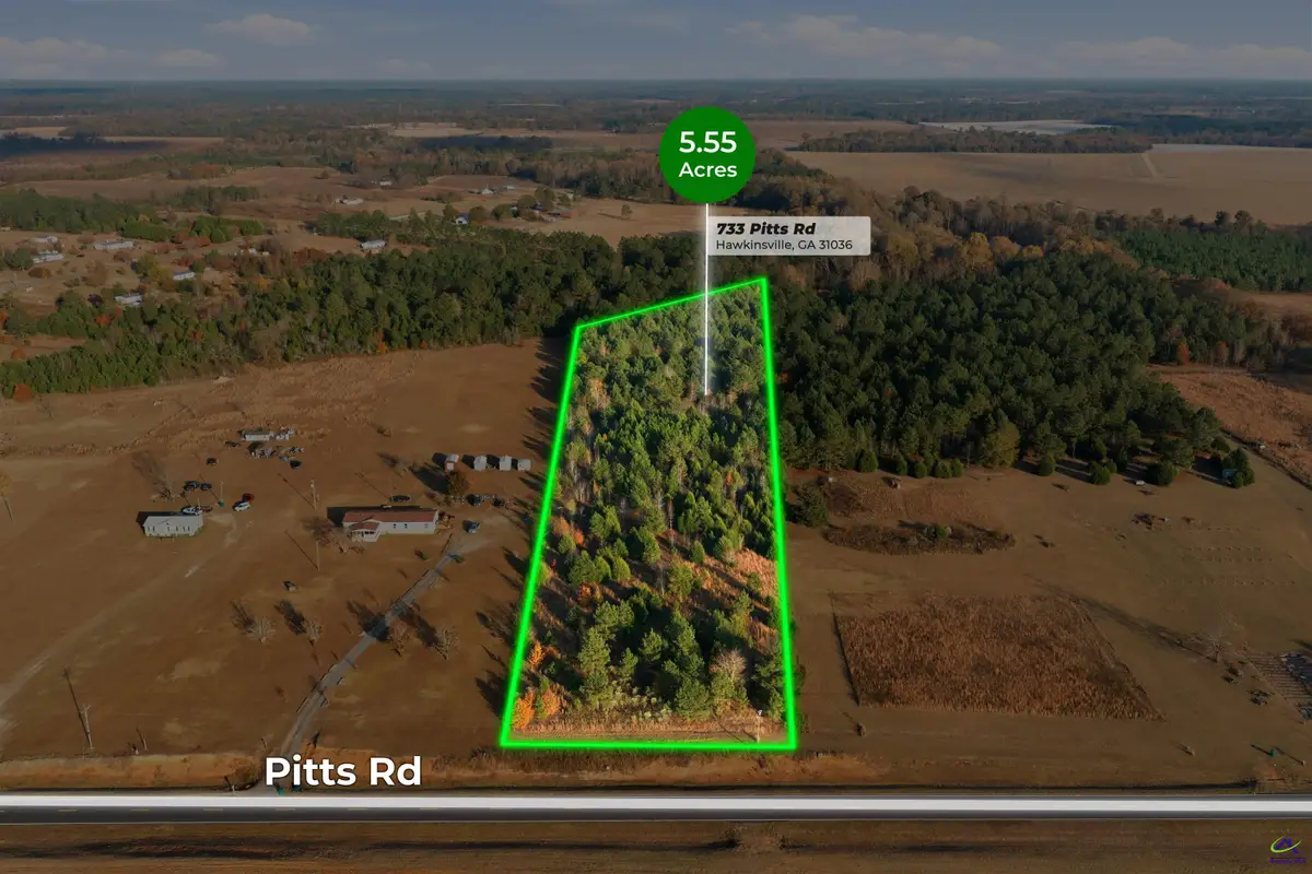 733 Pitts Road, Hawkinsville, GA 31036 - Image #1