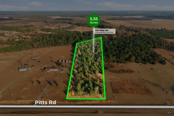 733 Pitts Road, Hawkinsville, GA 31036