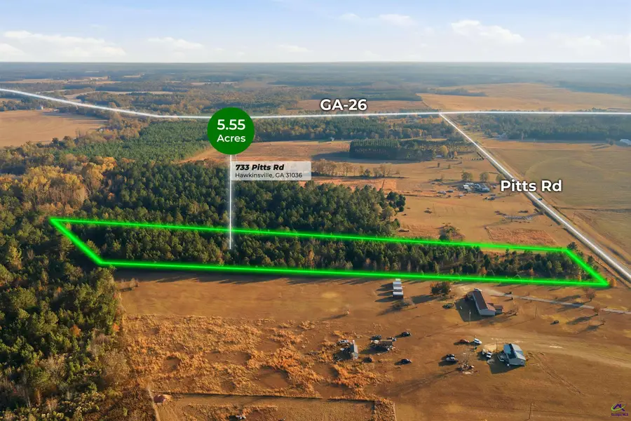733 Pitts Road, Hawkinsville, GA 31036 - Image #2