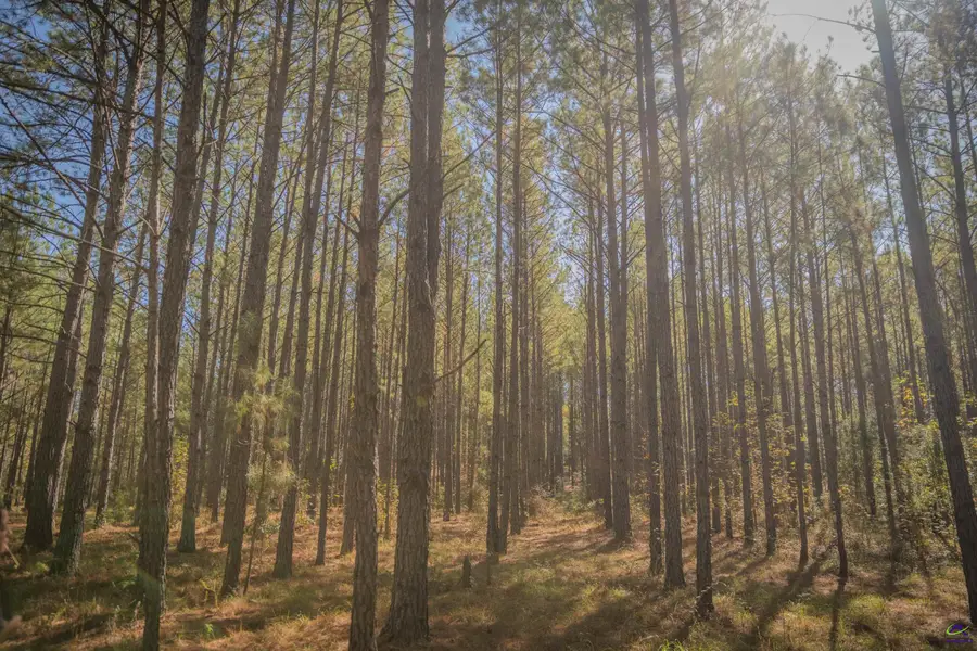 498 White Springs Church Road, Gordon, GA 31030 - Image #2