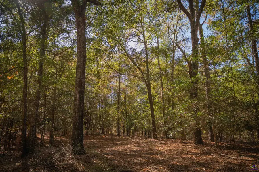 498 White Springs Church Road, Gordon, GA 31030 - Image #3