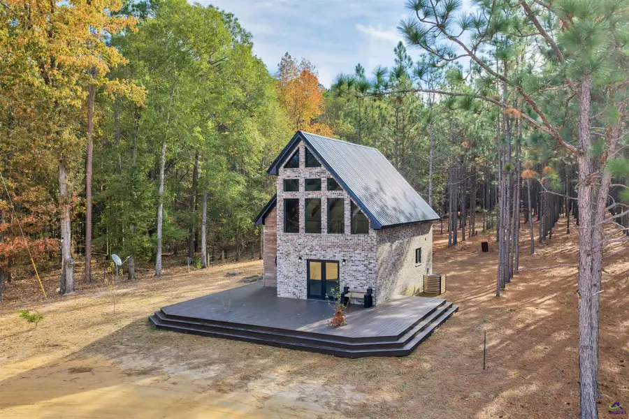 202 John Cobb Road, Hawkinsville, GA 31036 - Image #3