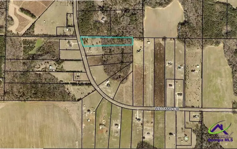 Tract 18 Williams Circle, Elko, GA 31025 - Image #1