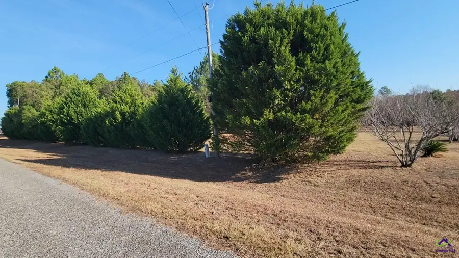 Tract 18 Williams Circle, Elko, GA 31025 - Image #2