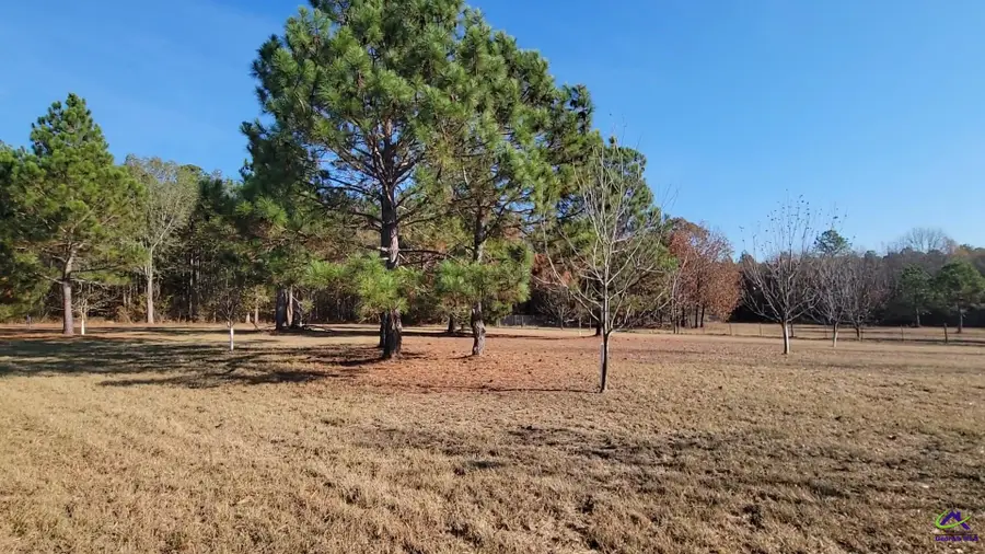 Tract 18 Williams Circle, Elko, GA 31025 - Image #3