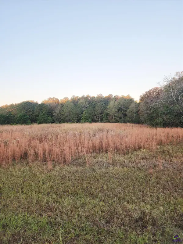 TRACTC-1B &C1A Kersey Road, Elko, GA 31025