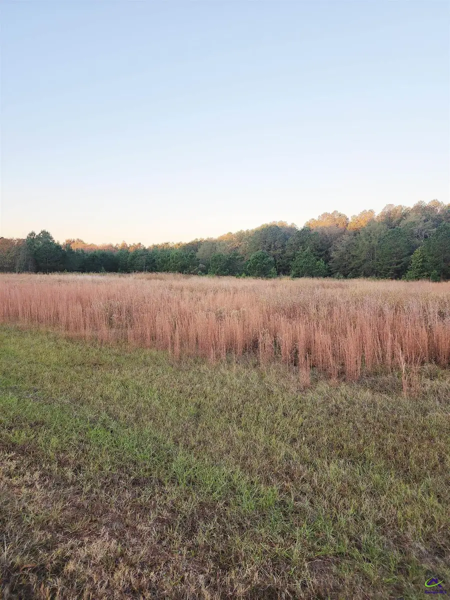 TRACTC-1B &C1A Kersey Road, Elko, GA 31025 - #3