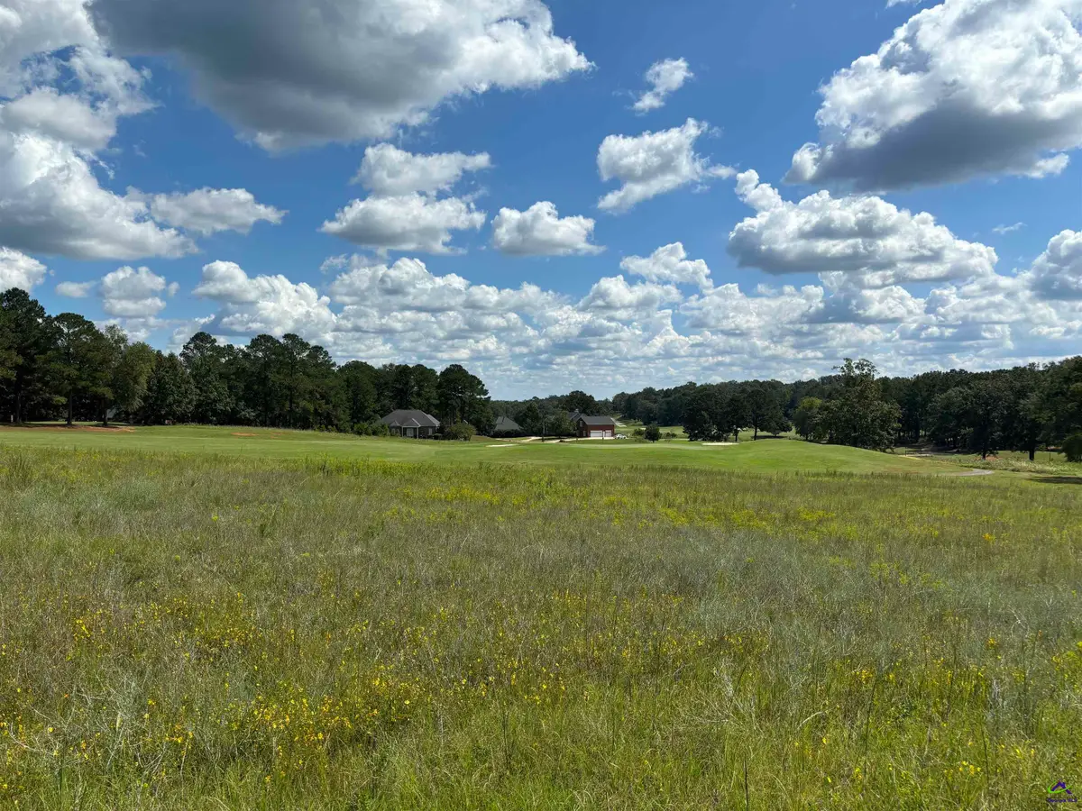 Lot 16 Camden Way, Hawkinsville, GA 31036 - Image #1