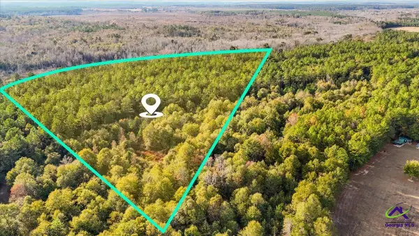 0 Massey Road, Tennille, GA 31089