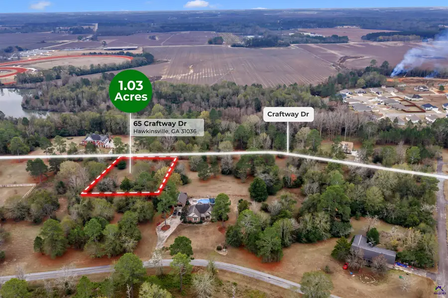 65 Craftway Drive, Hawkinsville, GA 31036 - Image #3