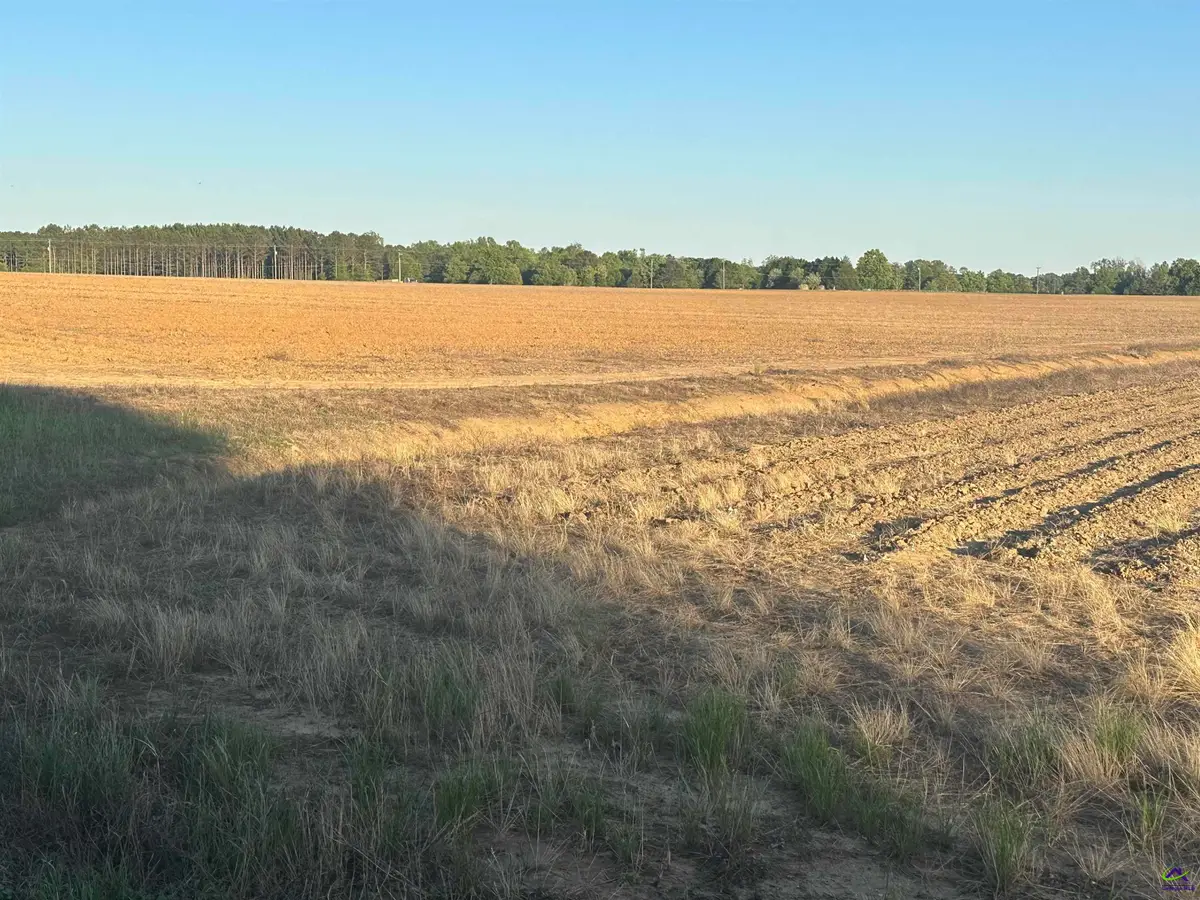 Lot# 11 (1.75 acres) Sewell Road, Elko, GA 31025 - Image #1