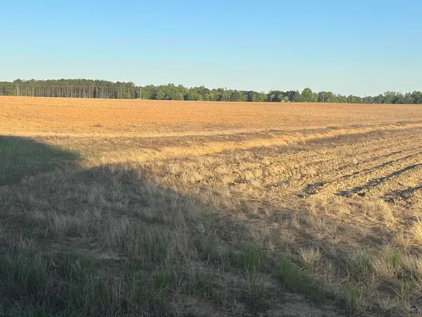 Lot# 11 (1.75 acres) Sewell Road, Elko, GA 31025