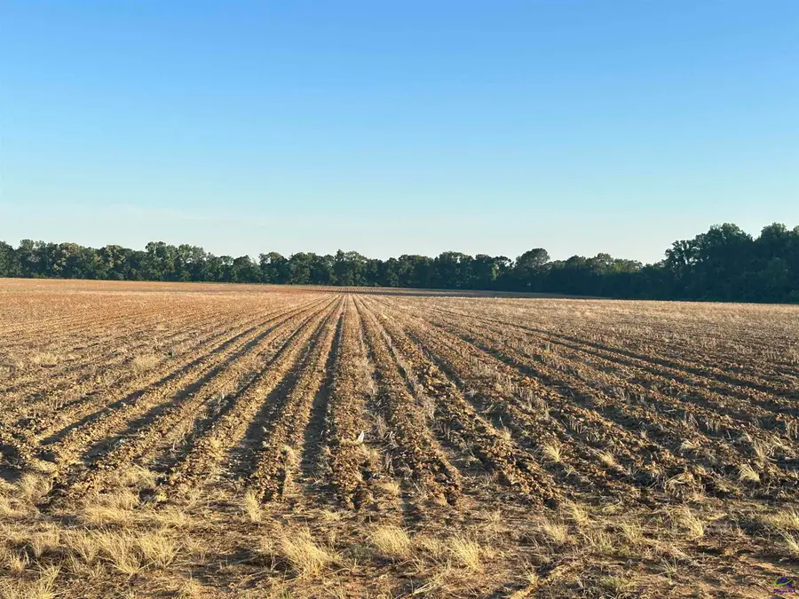 Lot# 11 (1.75 acres) Sewell Road, Elko, GA 31025 - Image #2