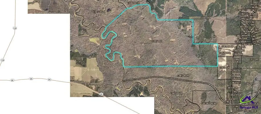 296 Boxwood (3061 acres) Road, Fort Valley, GA 31030 - Image #2