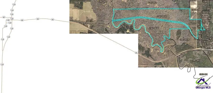 296 Boxwood (3061 acres) Road, Fort Valley, GA 31030 - Image #3