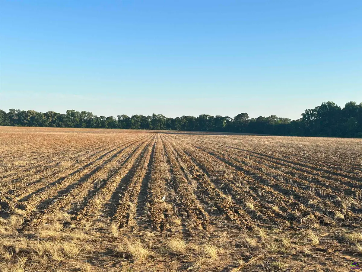 Lot# 13 SW (2.75 acres) Elko Road, Elko, GA 31025 - #1