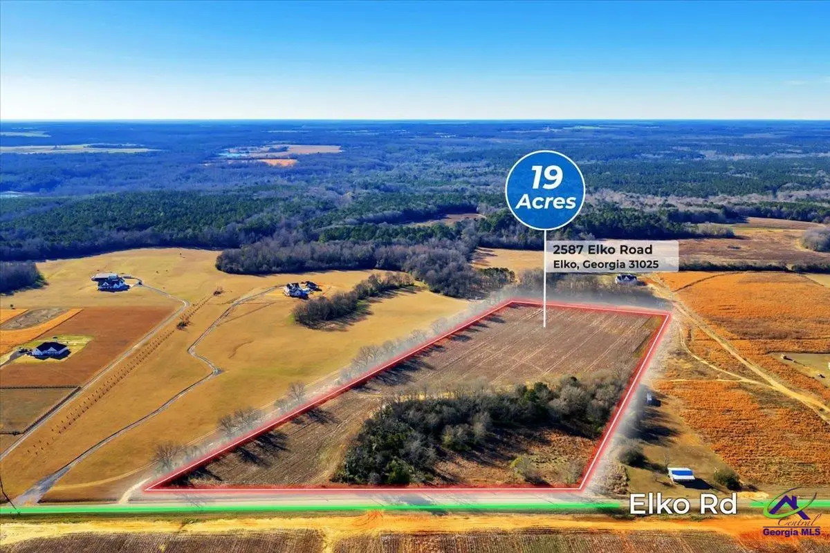 2585/2587 Elko (19+/- acres) Road, Elko, GA 31025 - Image #1