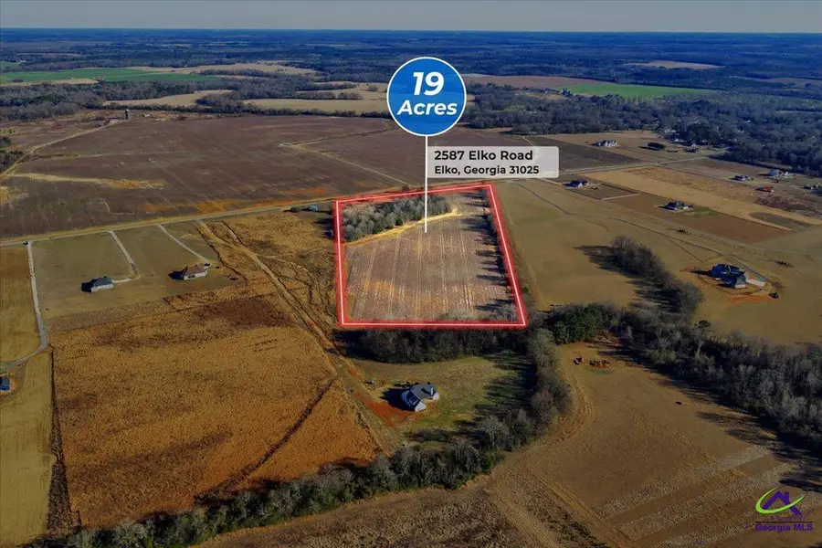 2585/2587 Elko (19+/- acres) Road, Elko, GA 31025 - Image #2