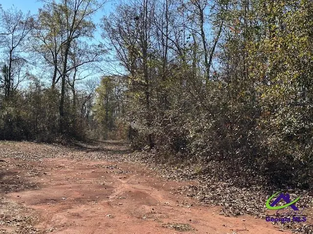 331 Worsham Road, Culloden, GA 31016 - Image #3