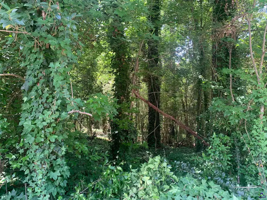 1171 Washington Street, Macon, GA 31204 - #2